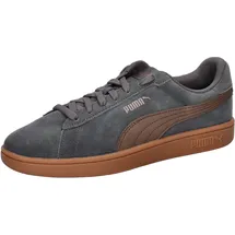 Puma Smash 3.0 Grau/Bronze 40,5