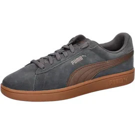 Puma Smash 3.0 Grau/Bronze 40,5