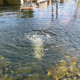 esotec Solar Ersatzpumpe Teichbelüfter 6-9V Sauerstoff Teich Gartenteich 101871