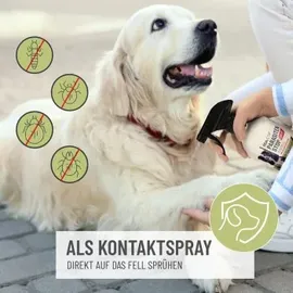 reavet Parasiten Stop AKUT - ReaVET Spray