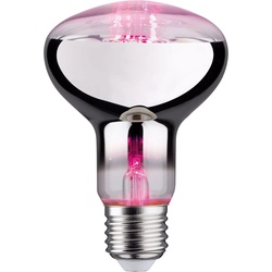 Paulmann, Pflanzenlampe, Pflanzenlampe (LED, 6.50 V)
