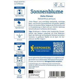 Kiepenkerl Sonnenblume Hohe Riesen Helianthus annuus