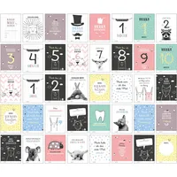 NOVA MD 40 Baby Meilenstein-Karten für das 1. Lebensjahr für Mädchen und Junge. Baby Milestone Cards deutsch, zur Erinnerung der Entwicklung der ersten Mon...