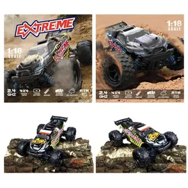 ES-Toys RC-Buggy Elektro 1:18 CH RTR schwarz