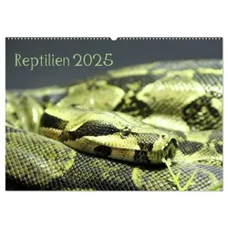 Reptilien 2025 (Wandkalender 2025 DIN A2 quer), CALVENDO Monatskalender