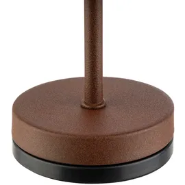 APS MERLE MICRO Braun