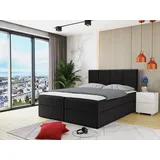Mirjan24 Rebos 140 x 200 cm Schwarz