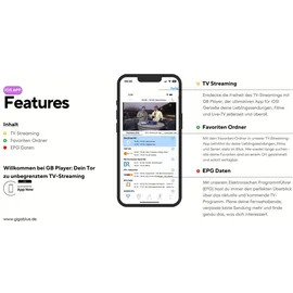 GiGaBlue UHD Quad 4K Pro Sat-Receiver 2x DVB-S2 Tuner, 2TB)