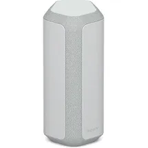 Sony SRS-XE300 grau