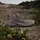 adidas Terrex Trailmaker 2 GTX Damen Earth Strata/Trace Brown/Chalky Brown 40 2/3