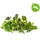 Click and grow Italienische Kräutermischung
