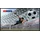 Hisense 32DM66D 32" schwarz