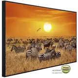 Papermoon Infrarotheizung Afrikanische Antilopen und Zebras, Matt-Effekt - bunt