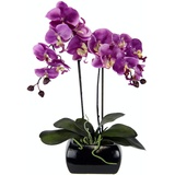 Orchidee im Topf