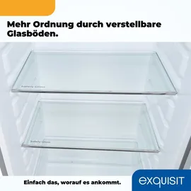 Exquisit KS350-V-H-040D Kühlschrank (331 l, 1715 mm hoch, Inoxlook)