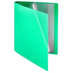 FolderSys FSY Sichtbuch flexibel, 30 Hüllen, A4, PP grün  transparent, 1 Stück