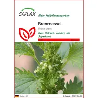 SAFLAX - Heilpflanzen - Brennessel - 150 Samen -