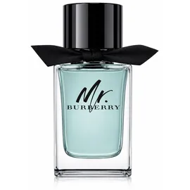 Burberry Mr. Burberry Eau de Toilette 100 ml