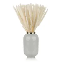 Blumtal 100 Stück Pampasgras getrocknet - Trockenblumen Pampas Grass,