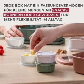Fackelmann Snacking-Boxen 3er-Set 3,3 x 8 cm grün