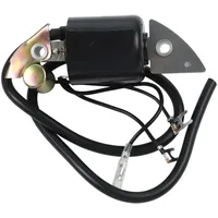 easybymall Zündspule kompatibel mit G150/G200/G300/G400 Motoren