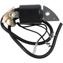 easybymall Zündspule kompatibel mit G150/G200/G300/G400 Motoren