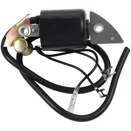 easybymall Zündspule kompatibel mit G150/G200/G300/G400 Motoren