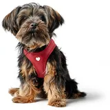 Hunter Geschirr Love,