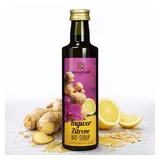 Sonnentor Ingwer-Zitronen-Sirup kbA 500ml
