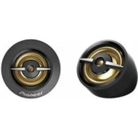 Pioneer TS-A301TW