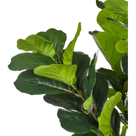 Beliani Kunstpflanze Fig Tree 162 cm, Grün