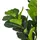 Beliani Kunstpflanze Fig Tree 162 cm, Grün