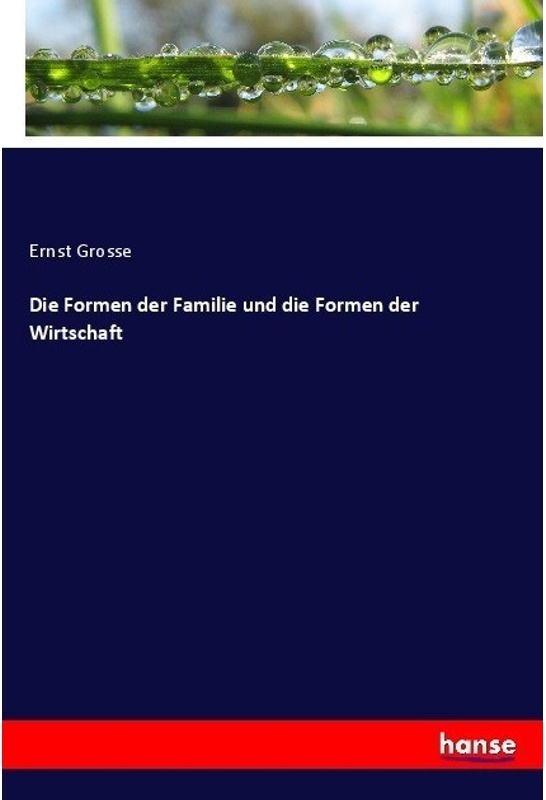 Die Formen Der Familie Und Die Formen Der Wirtschaft - Ernst Grosse, Kartoniert (TB)