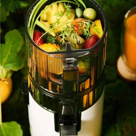 Hurom H70ST Slow Juicer Weiß