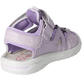Pepino Gary Lila 25
