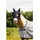 Bucas Buzz-Off Pro Fliegenmaske S Navy/Gold/Schwarz