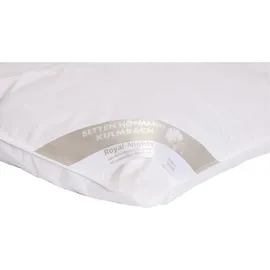 Betten Hofmann Sibiria Winter Daunendecke Bettdecke 3x4 155x220 sibir. Wildgans warm - Weiß