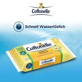 Cottonelle Feuchtes Toilettenpapier Kamille & Aloe Vera Vorteilspack 12 x 42 Tücher