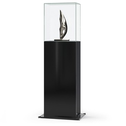 Design Ganzglas Haubenvitrine Schwarz JB.IS901S