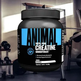 Universal Nutrition Creatin Geschmacksneutral Pulver 500 g