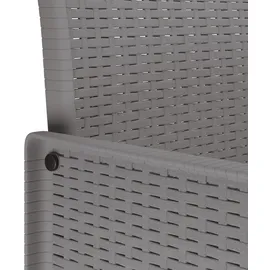 vidaXL 11-tlg. Garten-Essgruppe Hellgrau Poly Rattan