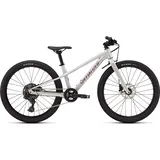 Specialized Riprock 24 Zoll grau