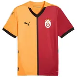 Puma Galatasaray Istanbul Trikot 2024/2025