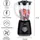 Alpina Smoothie Maker schwarz