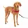 PetSafe Easy Walk Geschirr