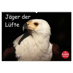 Jäger der Lüfte (Wandkalender 2025 DIN A2 quer), CALVENDO Monatskalender