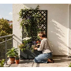 Westmann Dekora 7 Pflanzkasten mit Rankgitter 90 x 43 x 184 cm Anthrazit