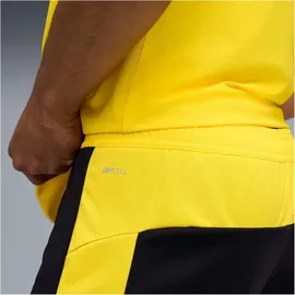 Puma Borussia Dortmund Heimshorts 2025/26 Herren schwarz Gr. S