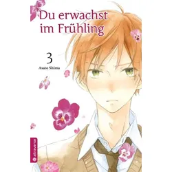 Du erwachst im Frühling 03