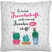 SHEEPWORLD Plüschkissen Motiv Freund 40 x 40 cm Mehrfarbig